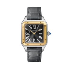 Cartier Santos Dumont 43,5 mm Gentleman W2SA0015