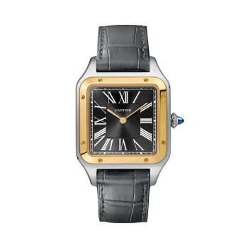 Cartier Santos Dumont 43,5 mm Gentleman W2SA0015 Cartier Santos Dumont 43,5 mm Gentleman W2SA0015